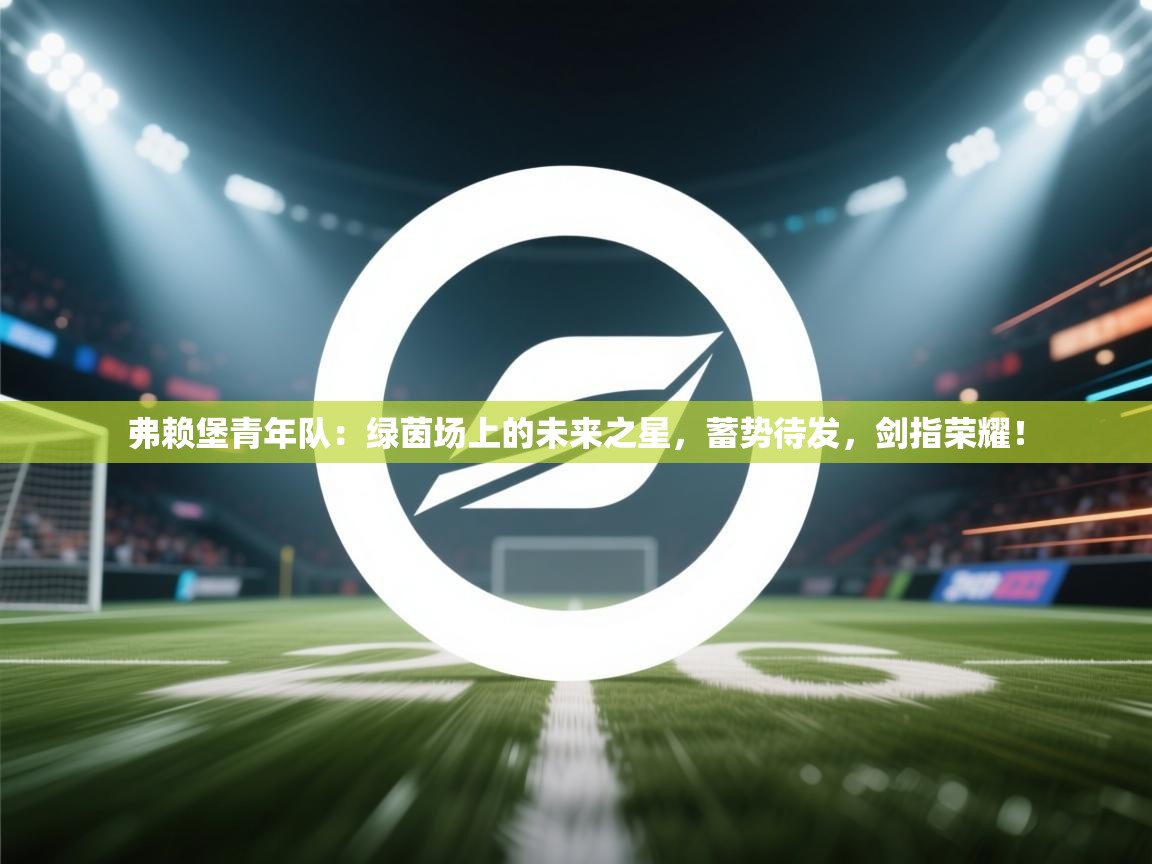 弗赖堡青年队：绿茵场上的未来之星，蓄势待发，剑指荣耀！  第2张