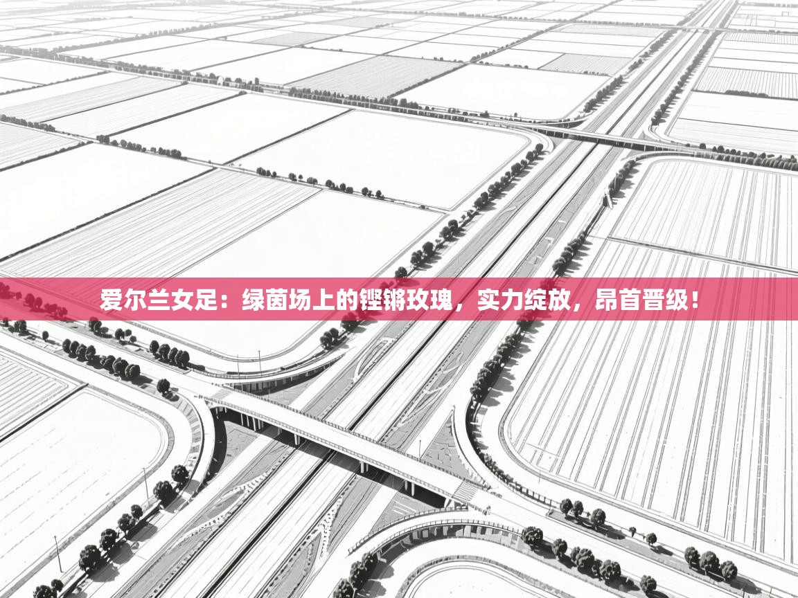 爱尔兰女足：绿茵场上的铿锵玫瑰，实力绽放，昂首晋级！  第1张