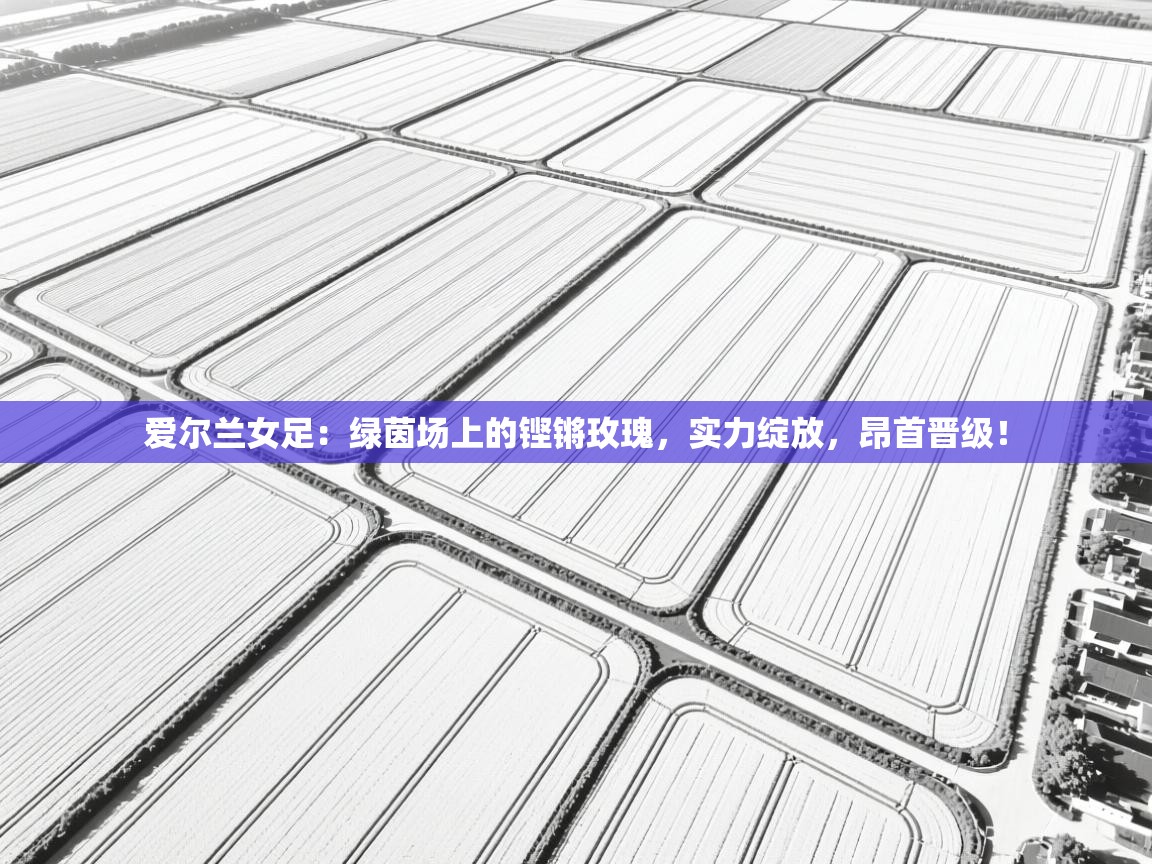 爱尔兰女足：绿茵场上的铿锵玫瑰，实力绽放，昂首晋级！  第2张