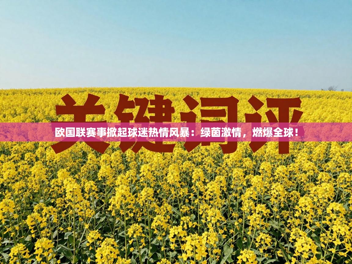 欧国联赛事掀起球迷热情风暴:绿茵激情,燃爆全球! 第1张